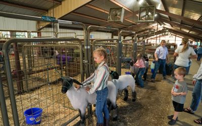Top Weekend Events: Sept. 12 – Sept. 15