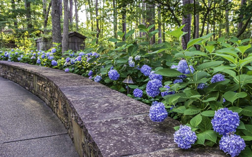 Early Birds Beat the Heat With Extended Morning Hours at Garvan Woodland Gardens