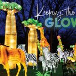 GloWild Returns to Little Rock Zoo With New Lantern Displays