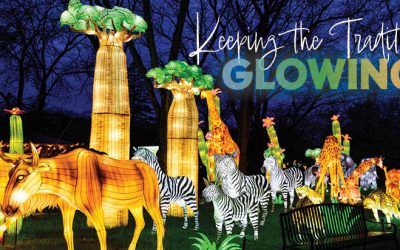 GloWild Returns to Little Rock Zoo With New Lantern Displays