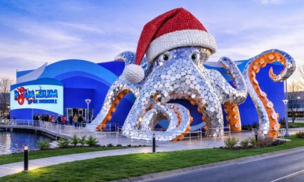 Branson Aquarium Goes Big for Christmas With World Record Attempt